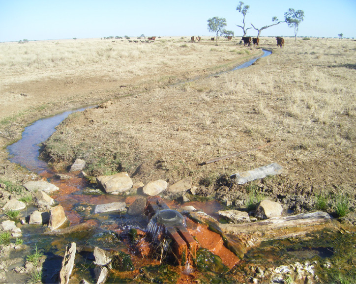 Early uncapped bore emptying into open bore drain