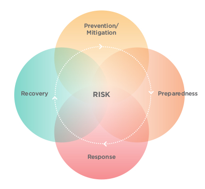 This graphic describes the PPPR model of risk management. Prevention, Preparedness, Response and Recovery apprear in steps in a process that extendes around managing risk which lies at the heart of the model.