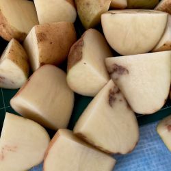 Many cut potatoes showing brown lesions on the inside