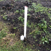 Peg and finder stake A white peg shown in the ground, with a taller white stake inserted next to it. The ground shows grass and dirt.