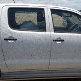 A white car covered in black dots that are actually insects
