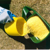 Bait treatment for electric ants