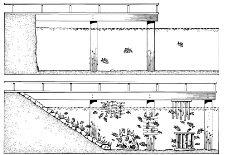 Image shows a drawing of two versions of a similar ocean bank with a jetty structure.   The first drawing shows a  jetty built above a shoreline that drops off to a 90 degree angle. There are two pillars under the jetty with a small amount of barnacles growing on them. Just 3 fish swim under the jetty.   In the second drawing, which sits under the first, the jetty is longer. The bank underneath the jetty has been sloped to a 45 degree angle, gently leading into the water. There are 3  pillars supporting the jetty instead of 2. The jetty’s underside and middle pillar have additional, small,  protruding structures attached that sit below the waterline. A similar structure sits on the sandy sea floor under the jetty. These are fish friendly artificial reef structures that have marine plants and coral growing on them. Dozens of fish of different species are swimming under the jetty.