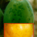 Thumbnail of Papaya ringspot disease