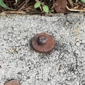 Close-up view of a nail in a concrete kerb. The nail appears rusted and the nail head is surrounded by a small disc like a washer, also rusted.