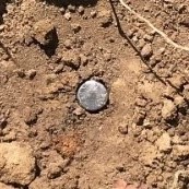 Close-up view of a silver-coloured iron pin, with the top flush to the ground. The ground is bare brown dirt.