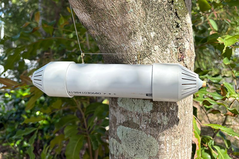 White plastic tube with vented caps at either end, suspended in a tree.