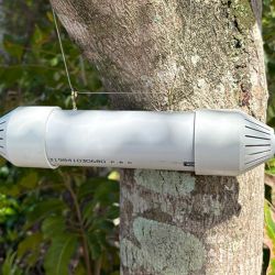 White plastic tube with vented caps at either end, suspended in a tree.