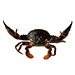 Thumbnail of Asian paddle crab