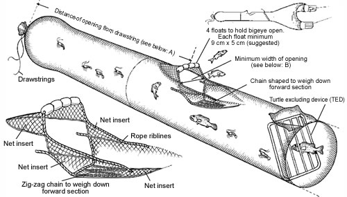 Diagram showing a bigeye bycatch reduction device being used in combination with a turtle excluding device.