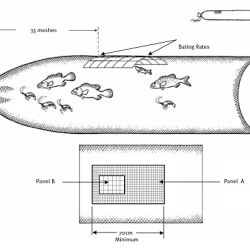 Image of square mesh panel bycatch reduction device
