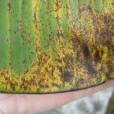 Leaf affected by banana freckle