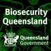 Profile thumbnail for Biosecurity Queensland