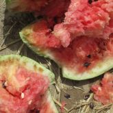 Brown spots in watermelon fruit rind caused by MNSV 
