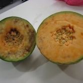 Brown spots inside rockmelon fruit caused by MNSV 